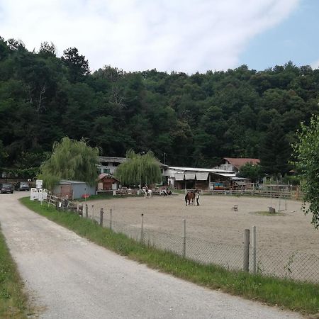 Locazione Turistica Varaita-Brossasco Екстер'єр фото